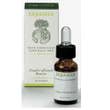 Erbamea Finocchio Dolce Olio Essenziale 10ml-1
