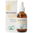 Alta Natura Propolinea Soluzione Idroglicerica 50ml-1