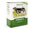 FLUMAST-A DERM 12X10ML-1
