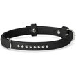 Camon Collare Con Borchiette Per Cani Colore Nero 35x650mm-1