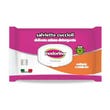 Inodorina Funzionale Salviette Detergenti Cuccioli Per Cani/Gatti 40 Pezzi-2