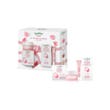 Equilibra Viso Kit Viso Rosa Ialuronica Anti-aging-1