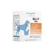 Dynamopet Digea F Medium 20 Bustine 4g-1