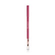 Collistar Matita Professionale Labbra 113 Autumn Berry 1,2g-1