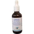 Vegetal Progress Fadios Fin Tintura Finocchio 26% Volume 50ml-1