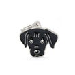 Medaglietta Per Cani Personalizzata Cane Labrador Nero-1